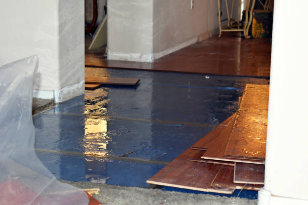 Professional Basement Flood Cleanup technician working in Glen Head, NY